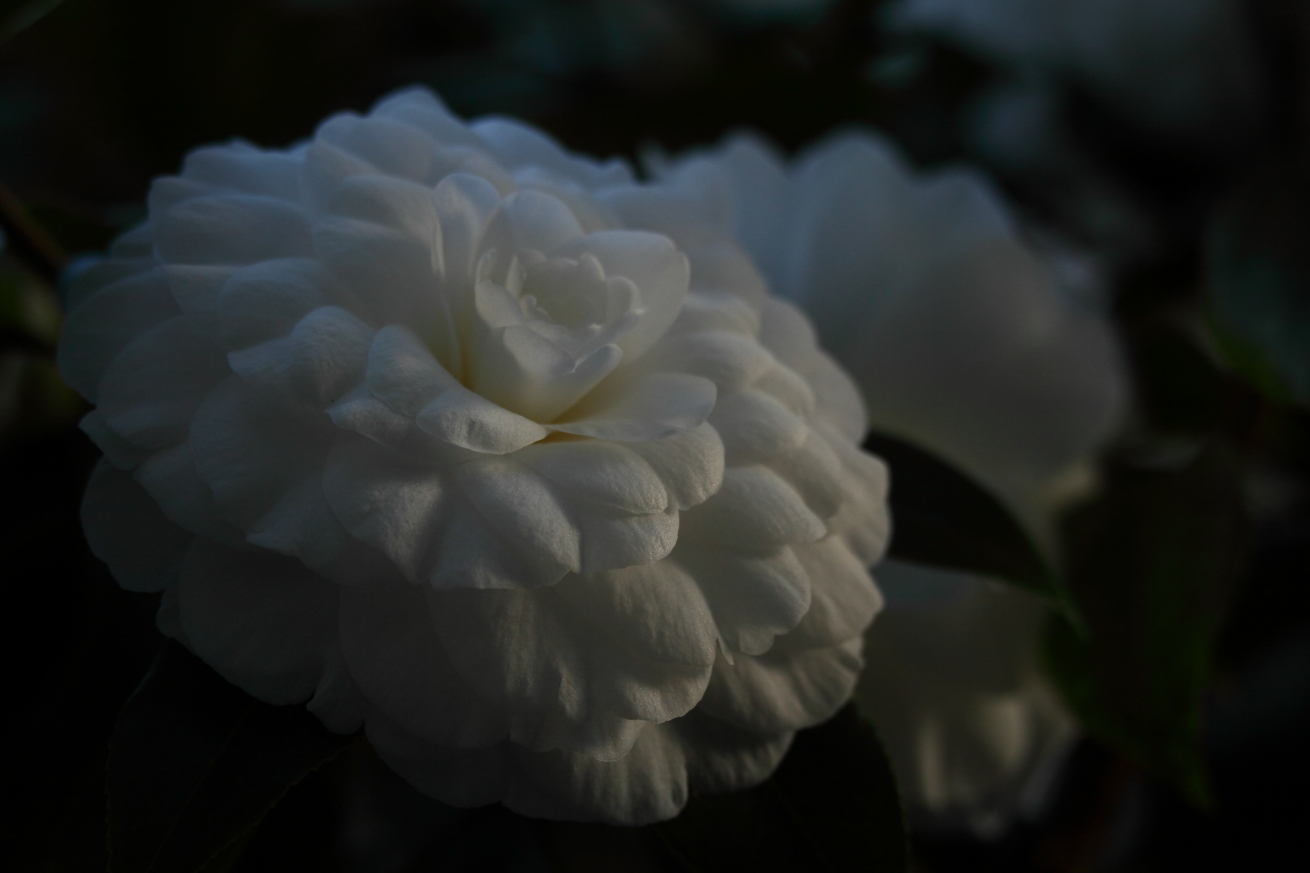 2015 01 07 HTP 000016139
