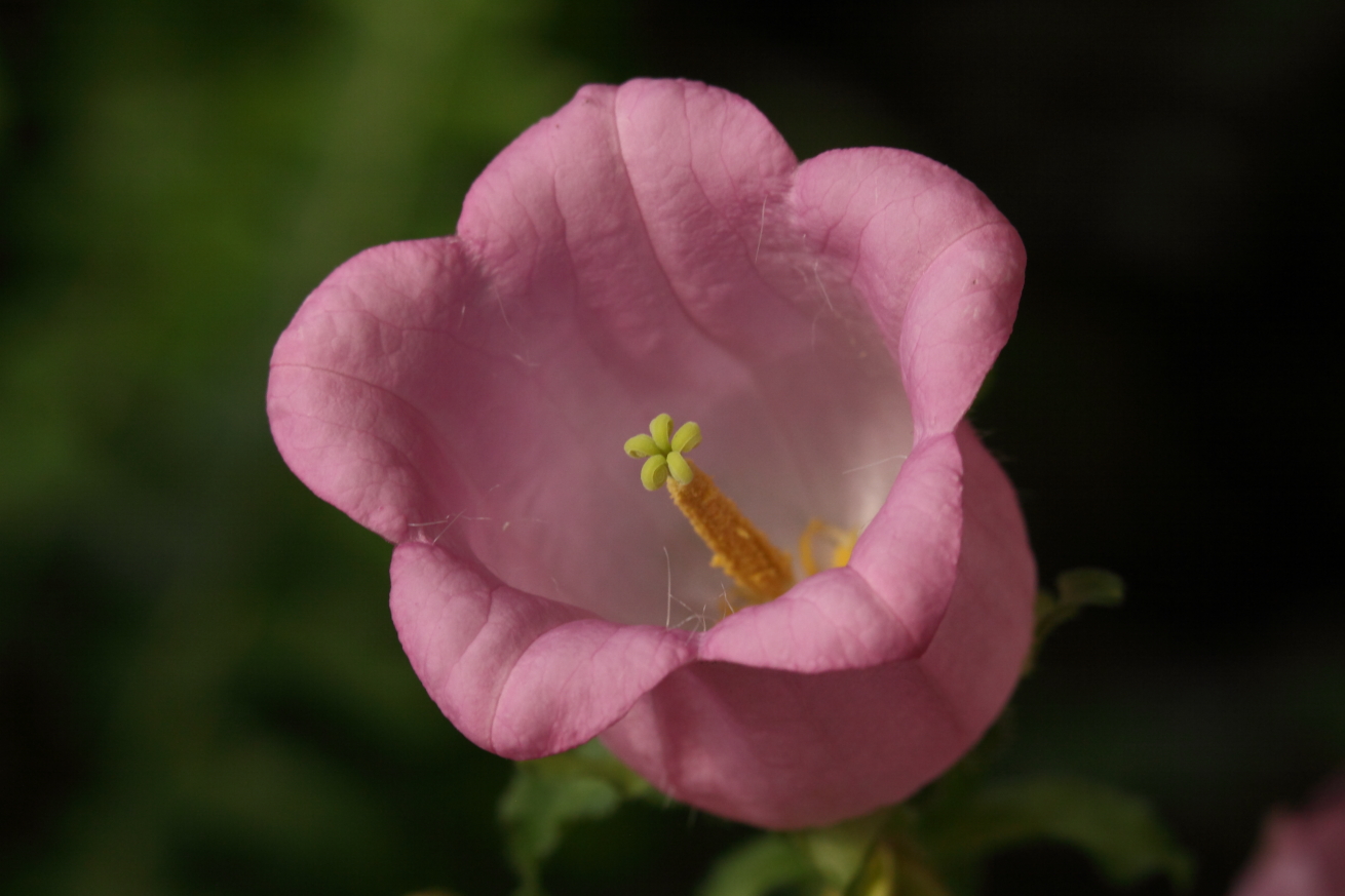 2015 02 22 HTP 000028108