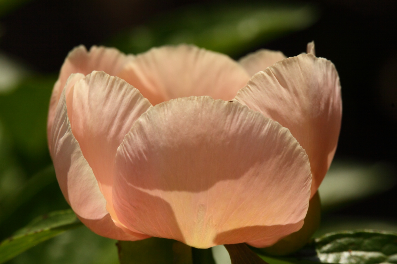2015 05 13 HTP 000053472