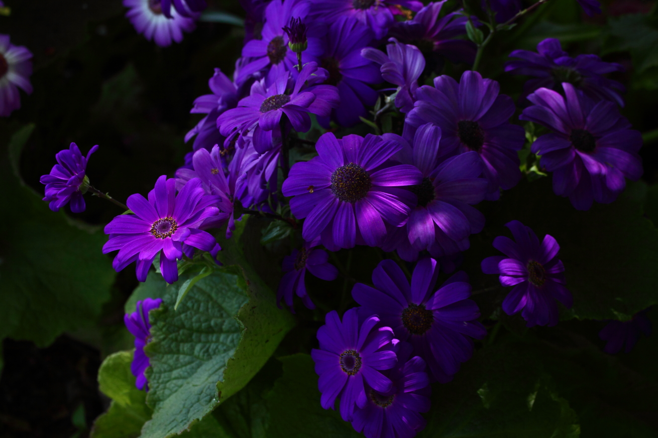 2015 05 13 HTP 000053605e