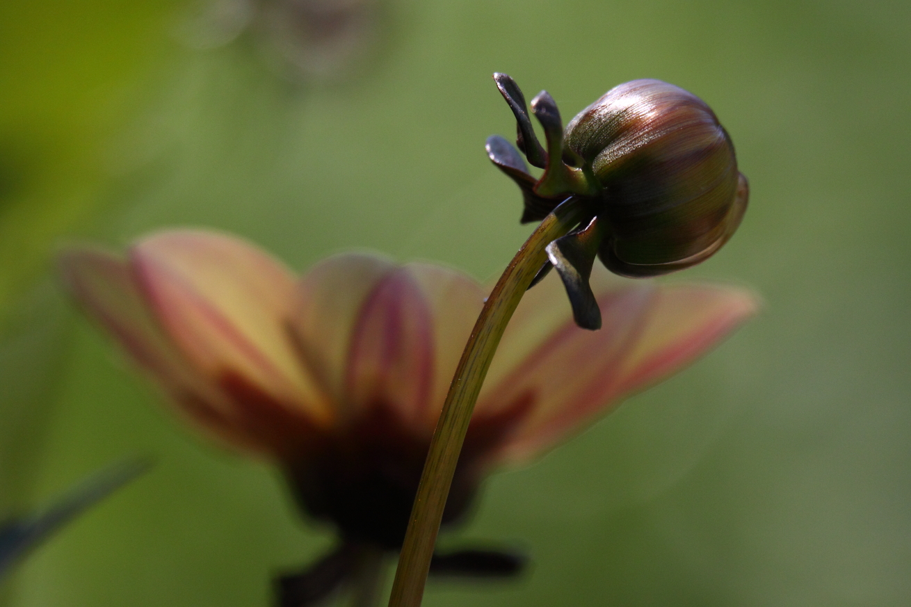 2015 07 16 HTP 000069946