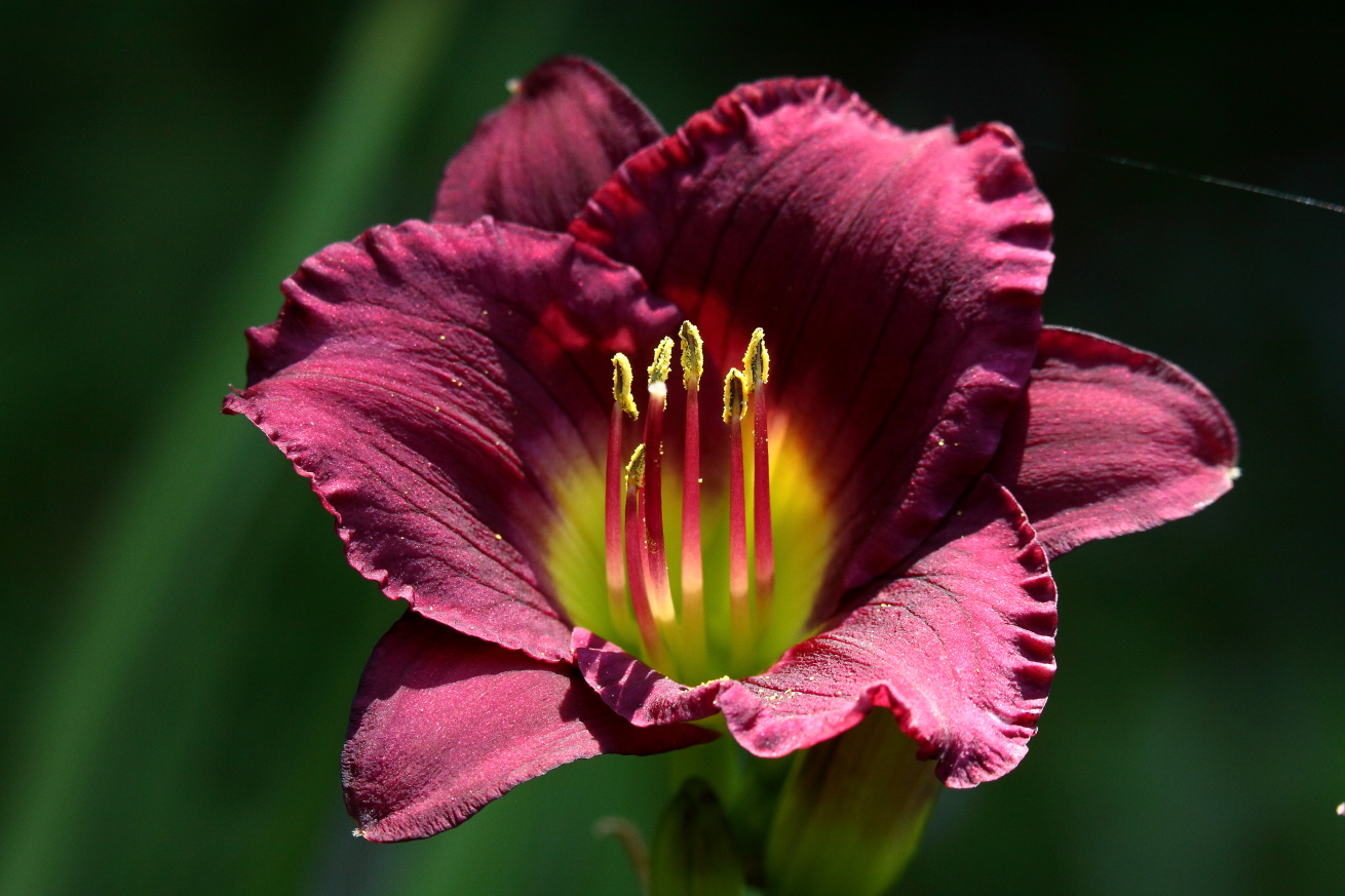 2015 07 16 HTP 000070221e