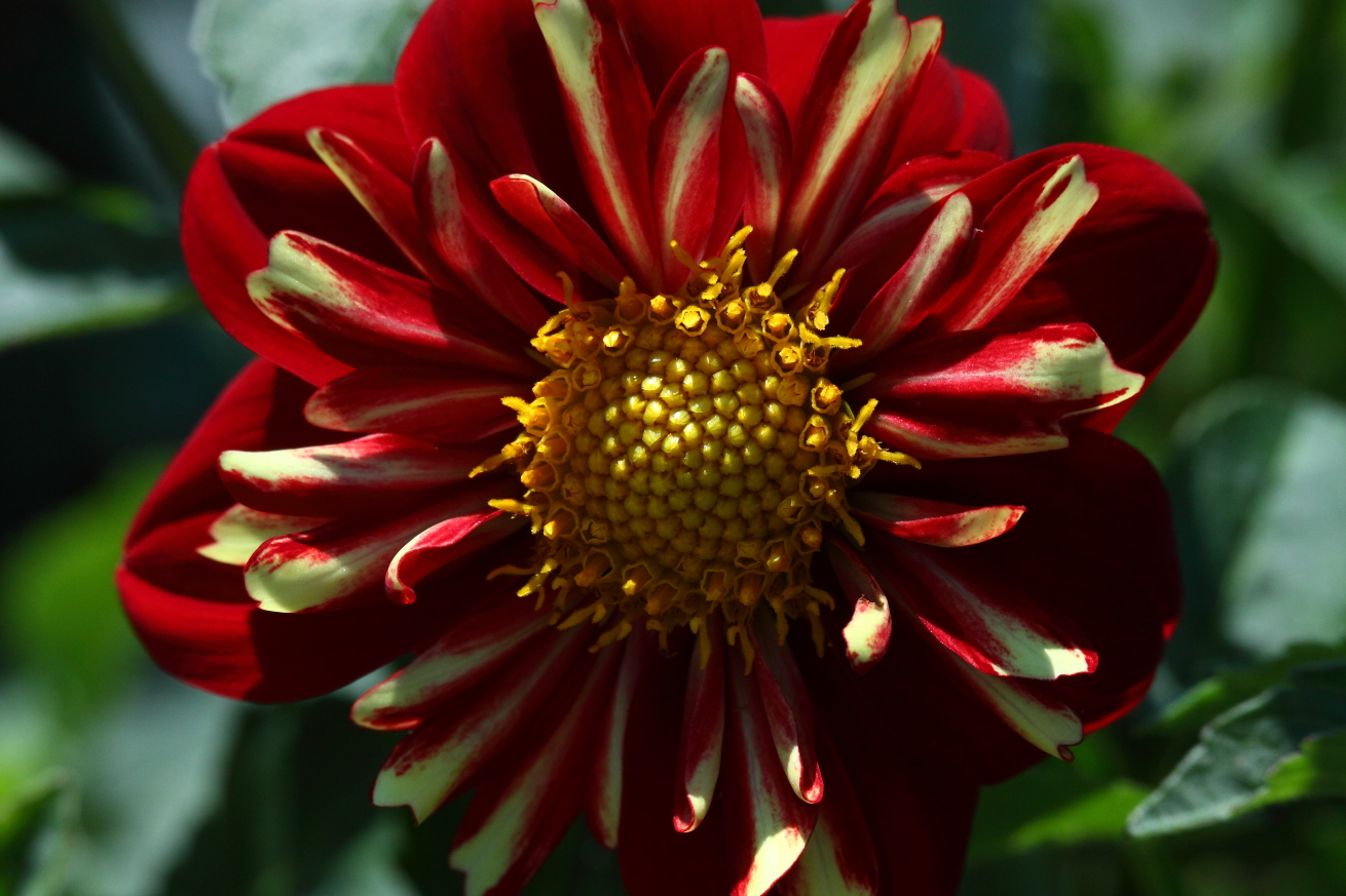 2015 07 19 HTP 000070814e