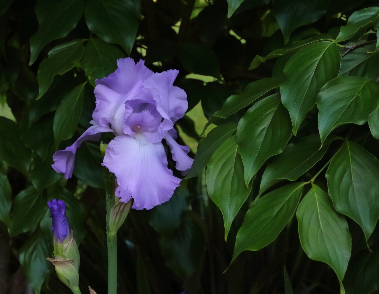 2016 05 31 HTP 16507