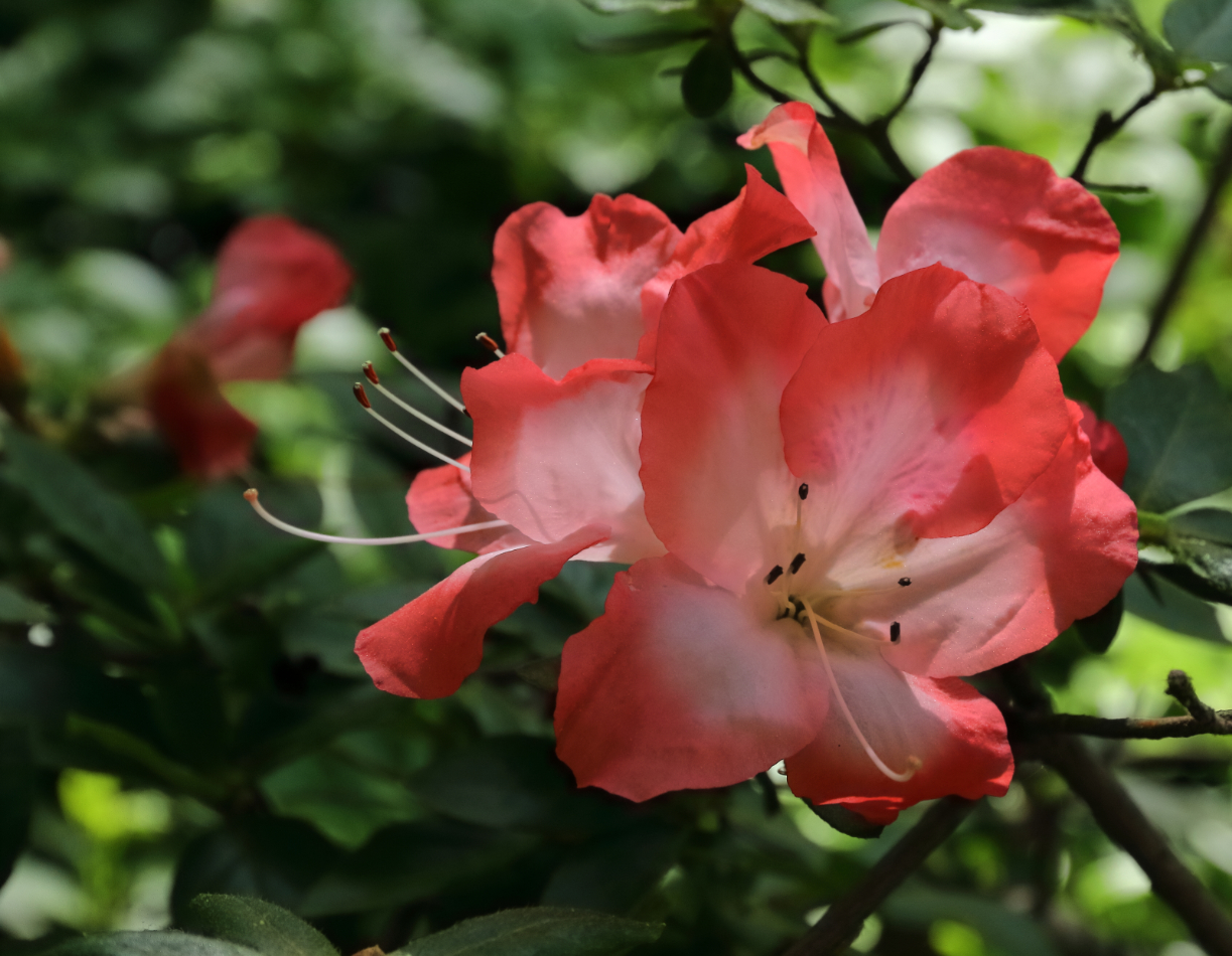 2016 06 01 HTP 000003980