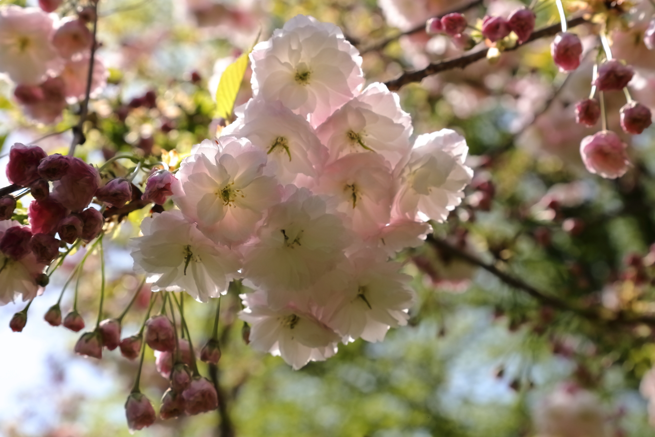 2018 05 03 HTP 14170