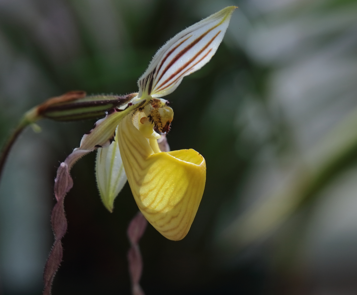 2019 03 26 HTP 90463