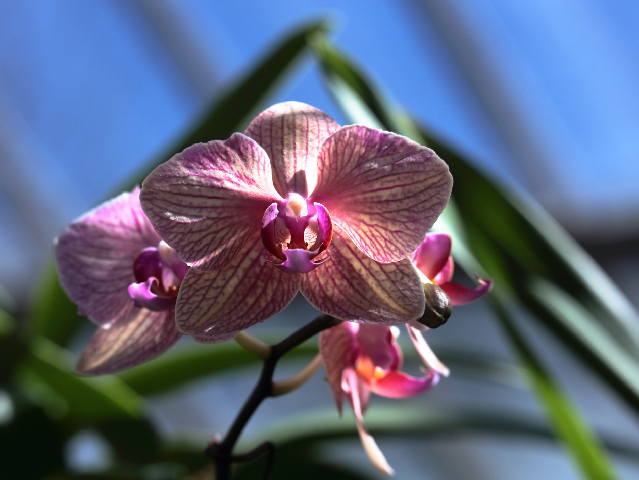 2019 03 26 HTP 90628