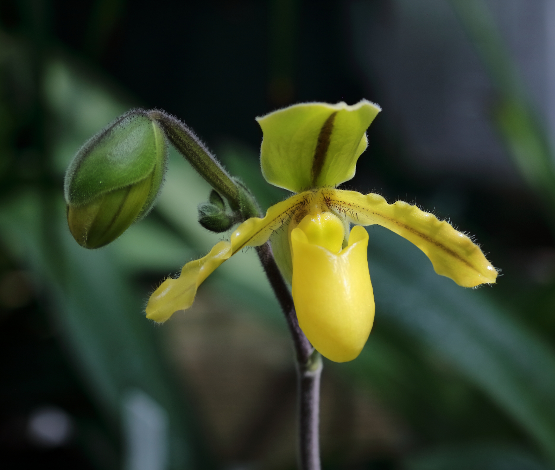 2019 04 07 HTP 90247