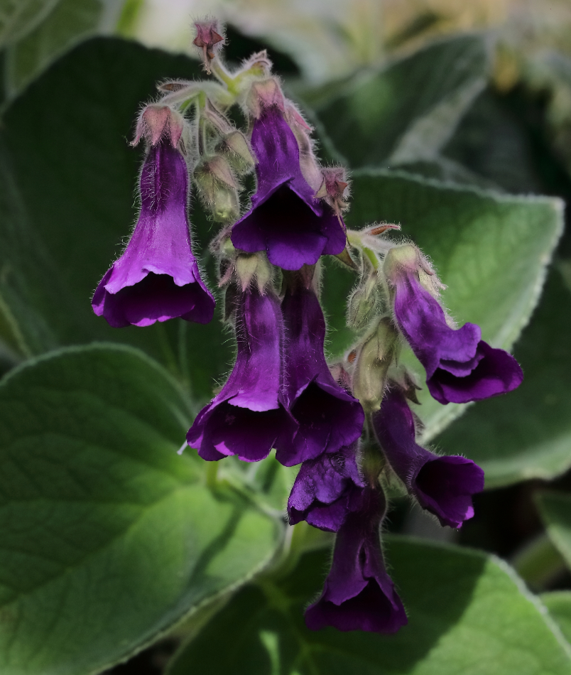 2019 04 07 HTP 90286