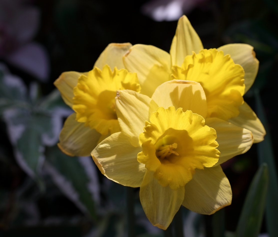 2019 04 07 HTP 90349