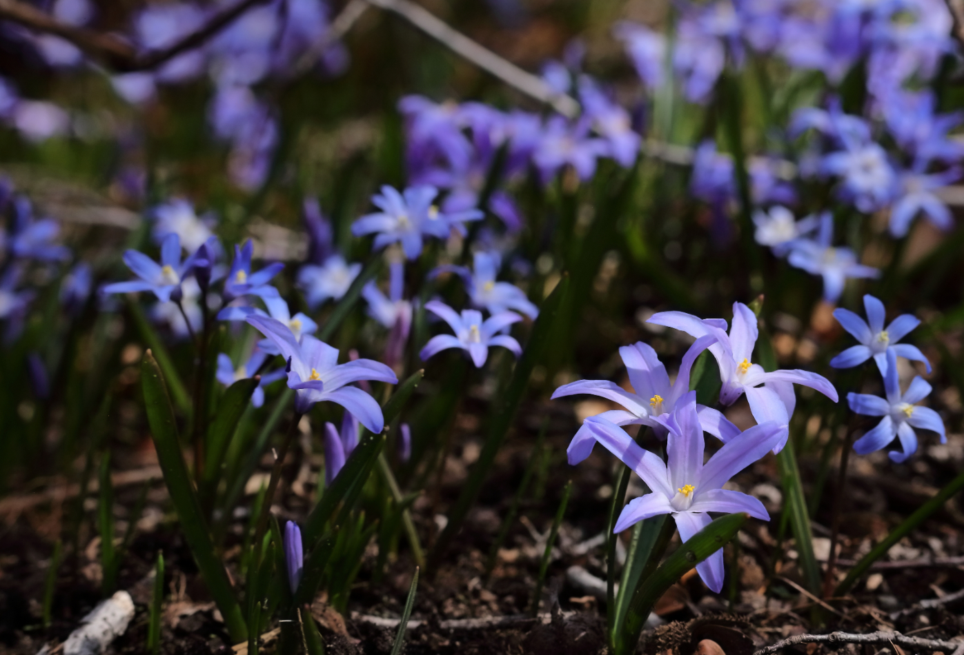 2019 04 07 HTP 90585