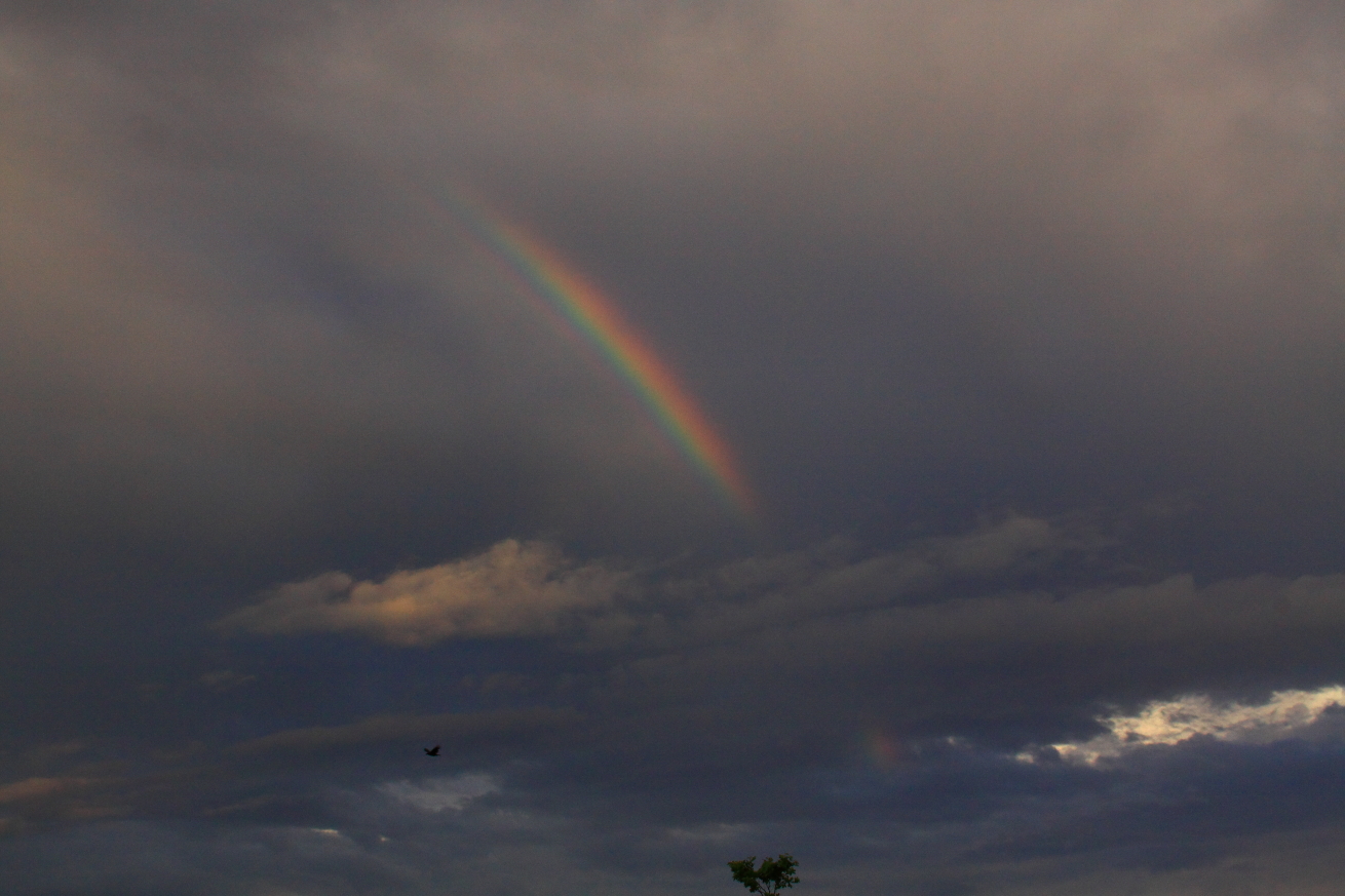 Rainbows