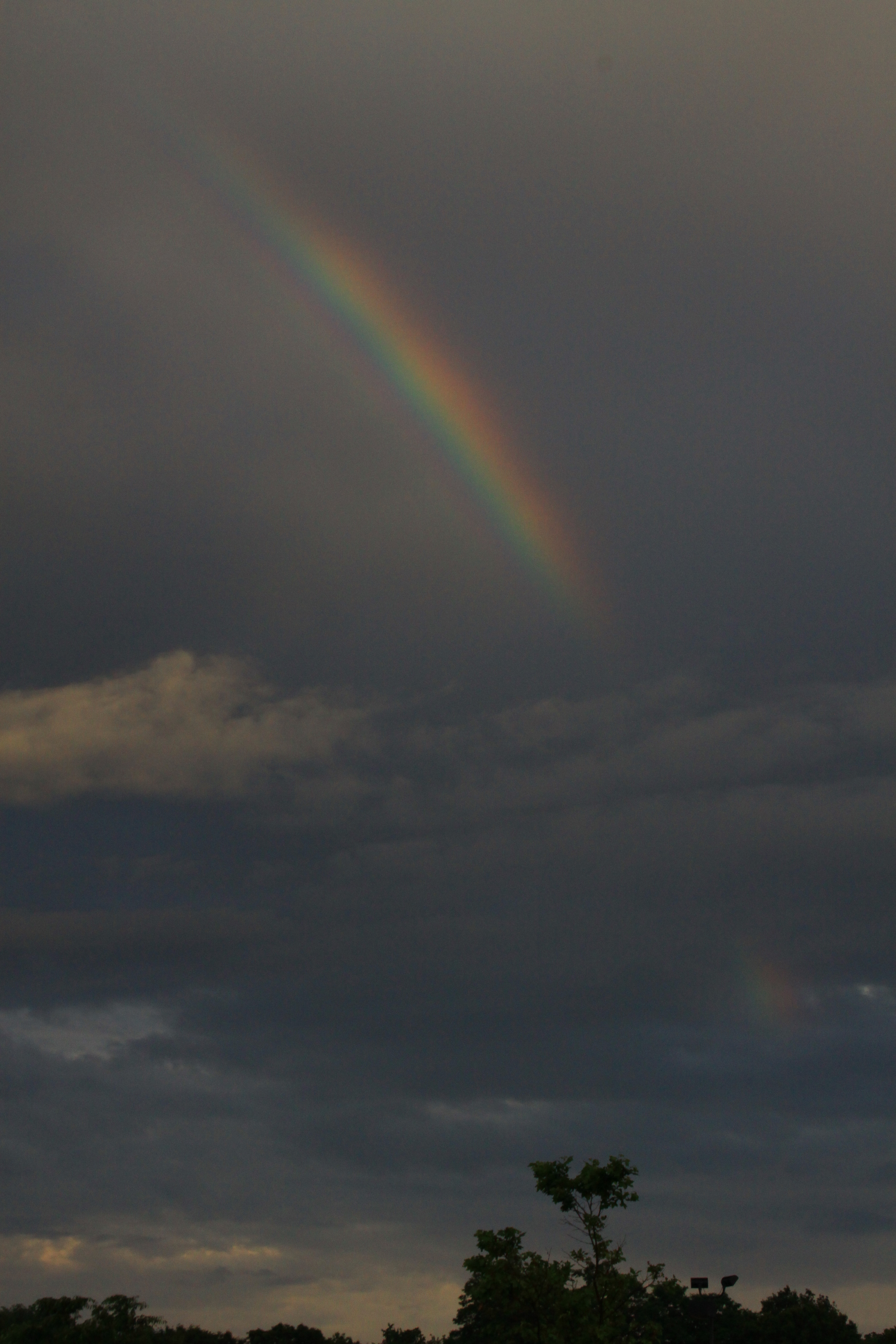2010 06 01 IMG 01101