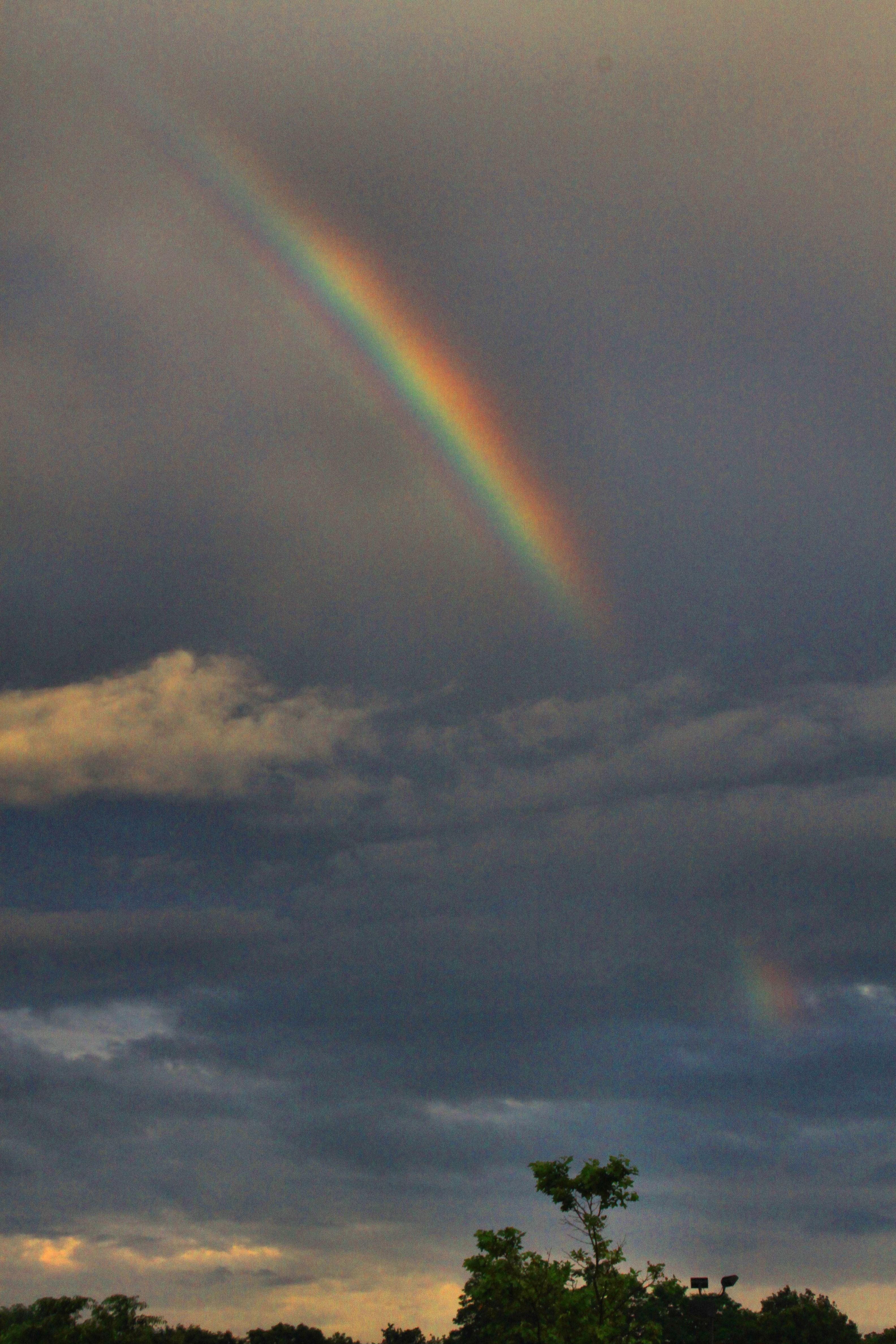 2010 06 01 IMG 01101e