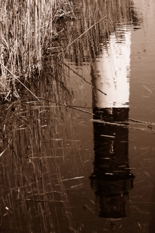 2010 03 24 IMG 9999 84e