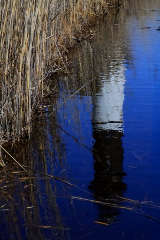 2010 03 24 IMG 9999 92e