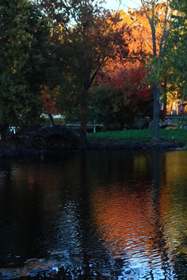 2010 10 22 IMG 13065