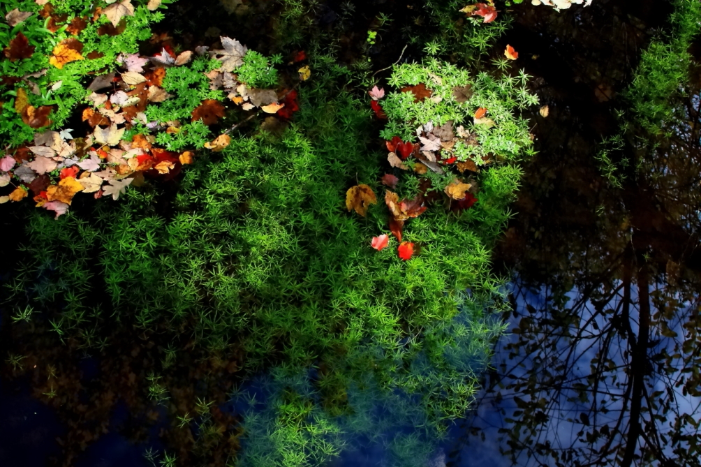 2010 10 24 IMG 13589