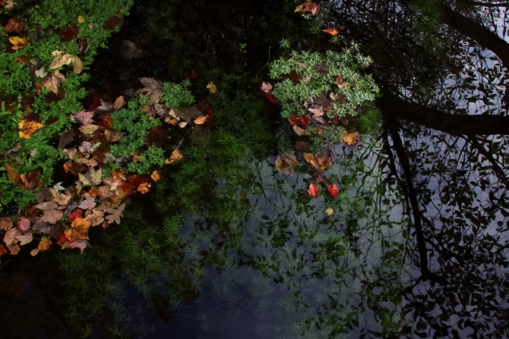 2010 10 24 IMG 13593