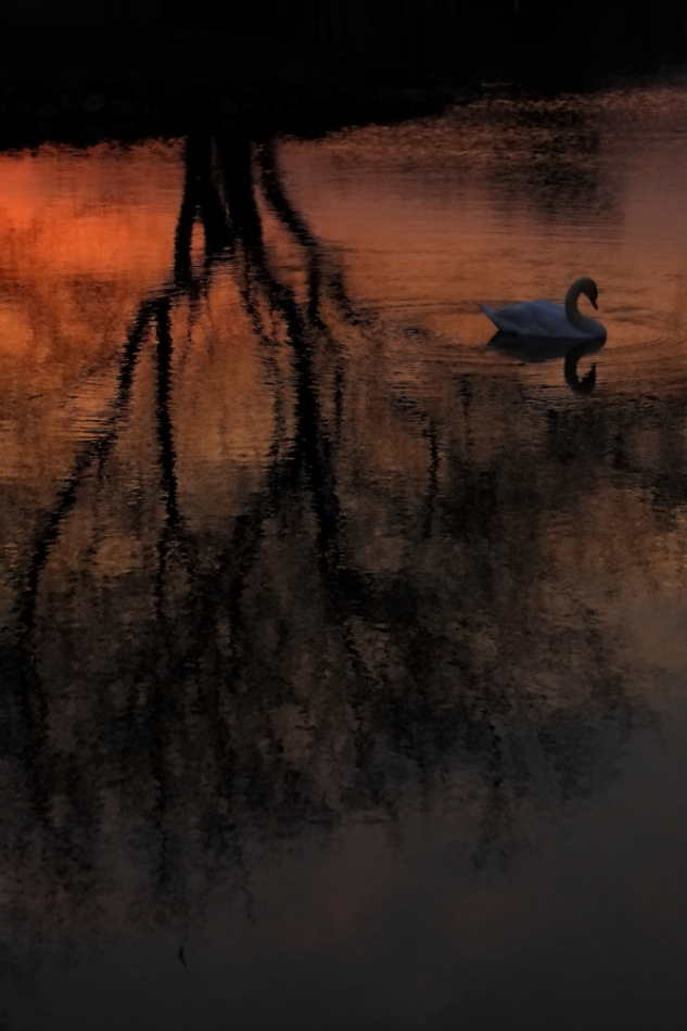 2011 04 04 IMG 27123e