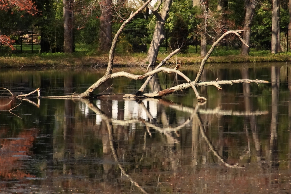 2011 04 25 IMG 28525