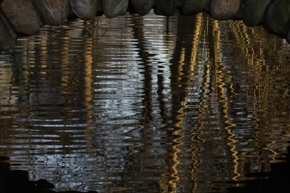 2012 03 06 8004