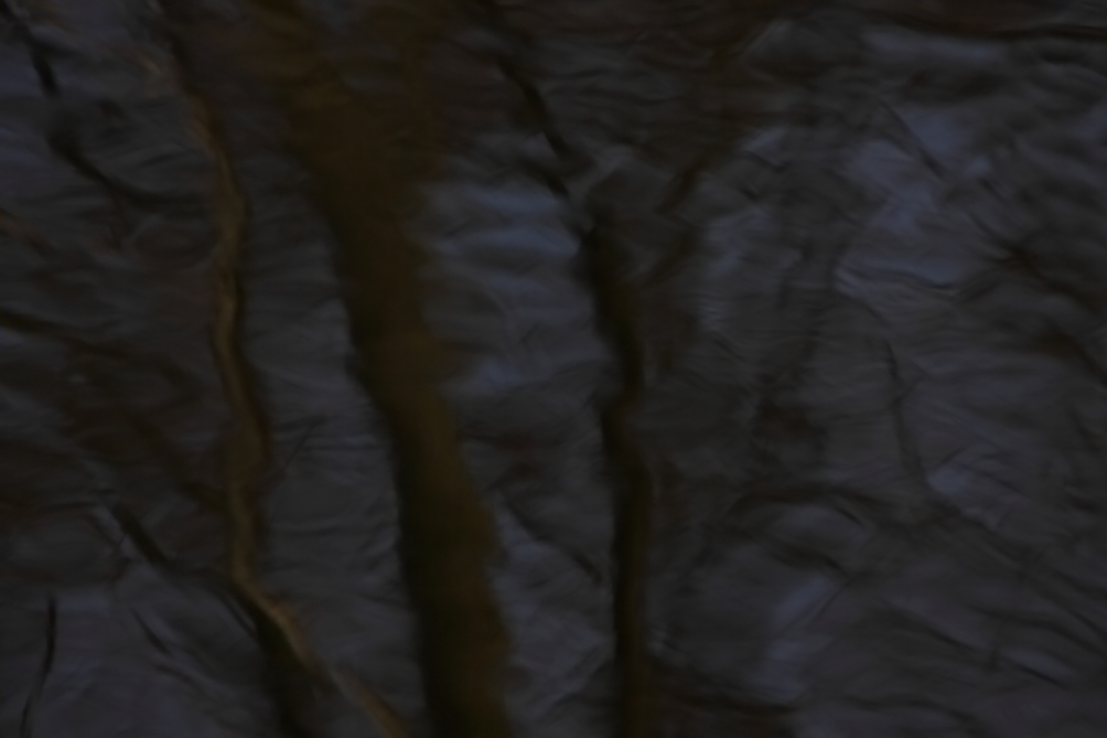 2012 03 10 9692