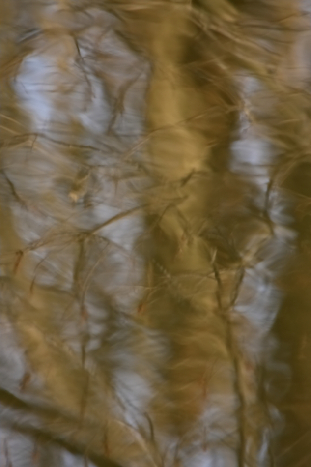 2012 03 10 9695