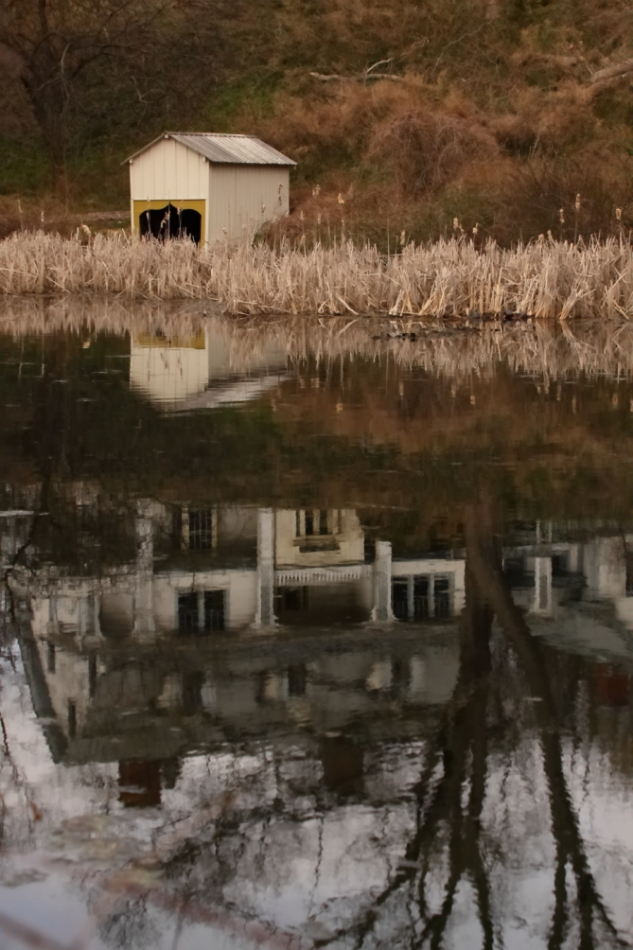 2012 03 15 9999 351