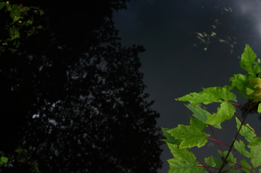 2012 06 01 4837