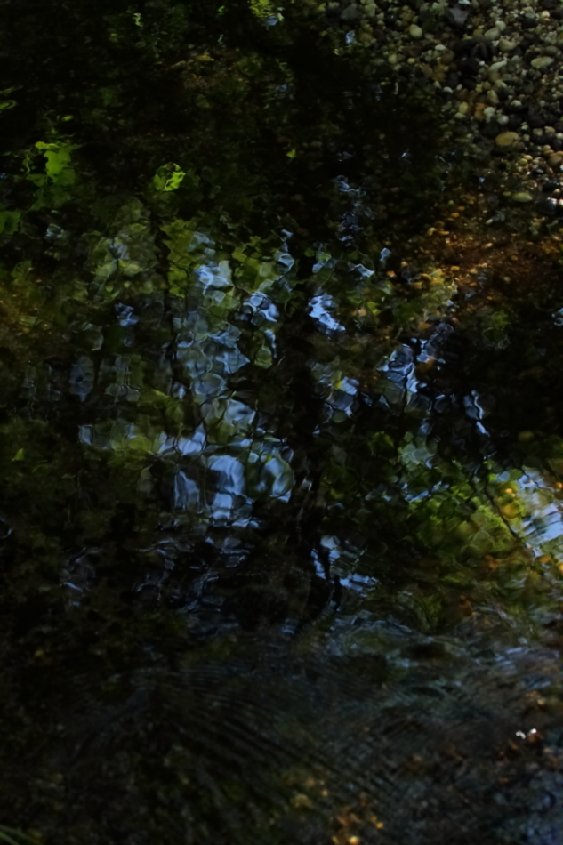 2013 08 14 HTP 02835