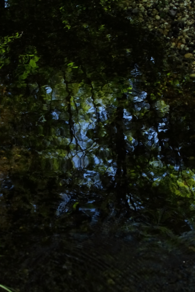 2013 08 14 HTP 02837
