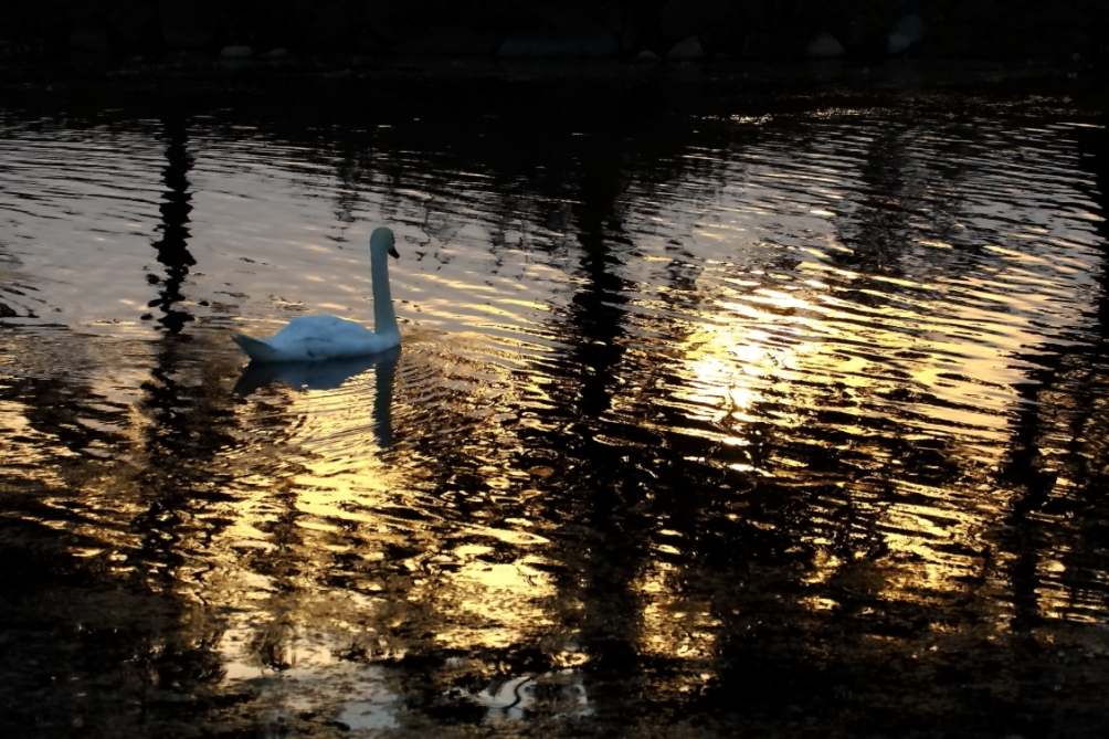 2013 08 29 HTP 04462e