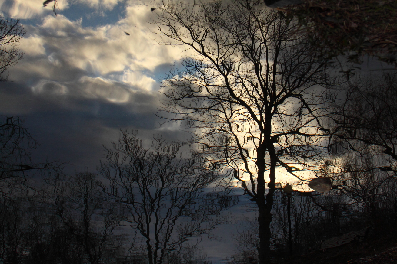 2016 01 16 HTP 000094366e