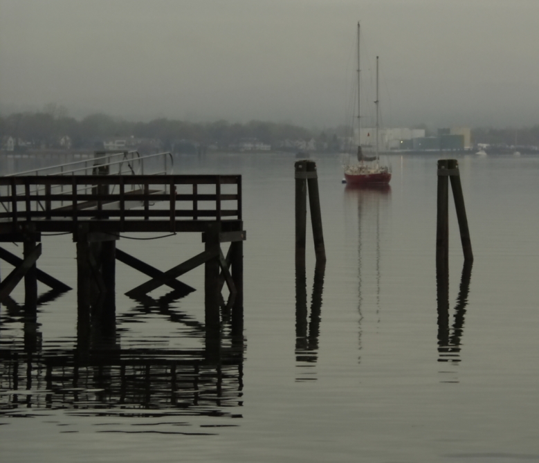 P4253164cg
