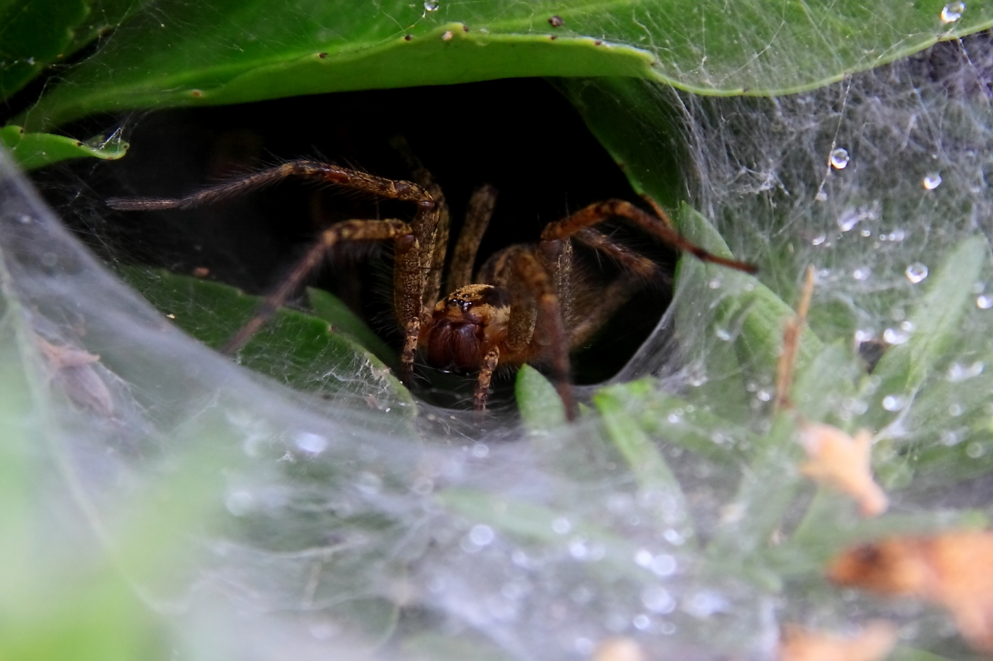 2010 09 08 IMG 07356e
