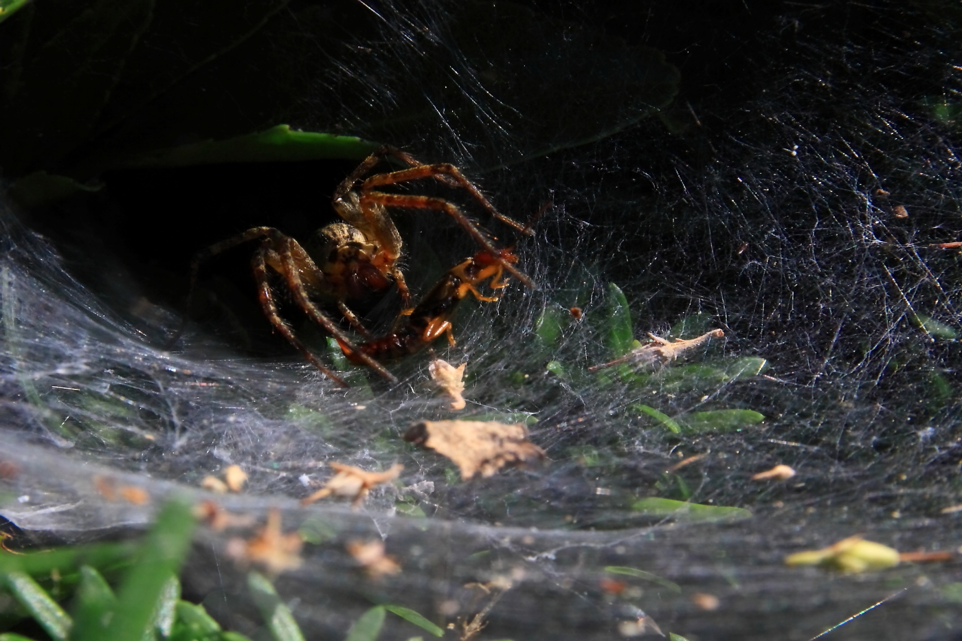 2010 09 08 IMG 07409e