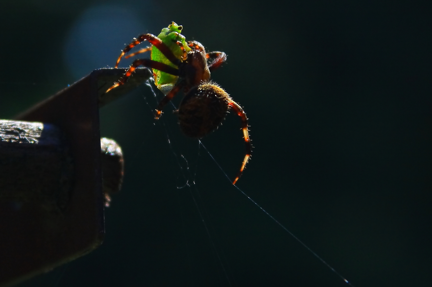 2010 09 14 IMG 08069