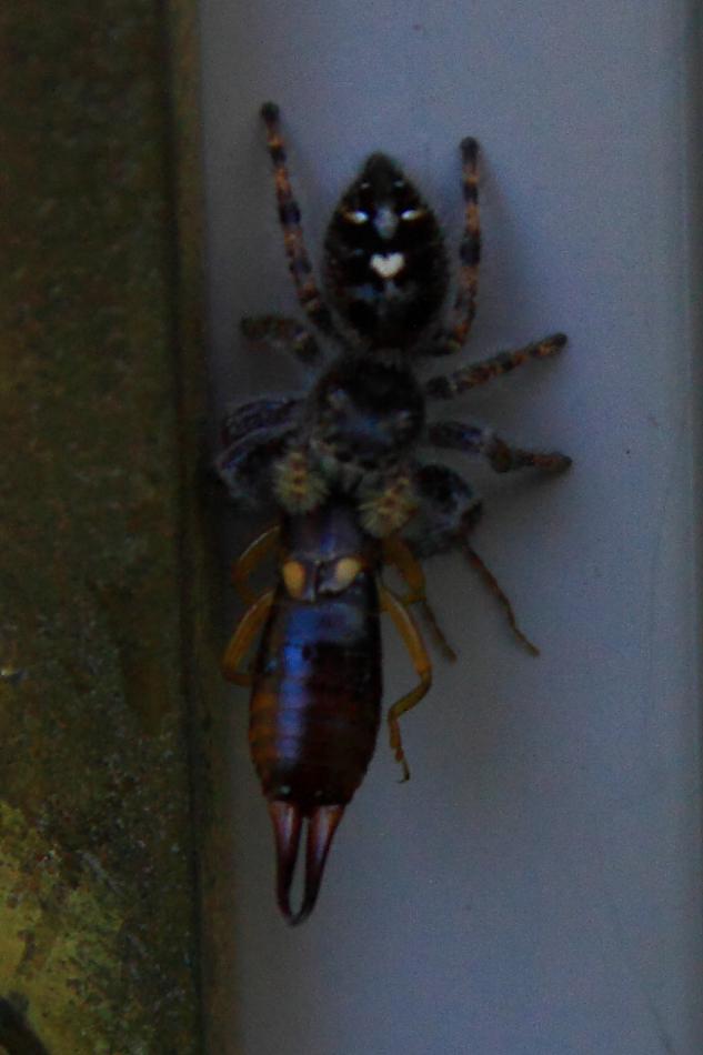 2010 09 21 IMG 09117e