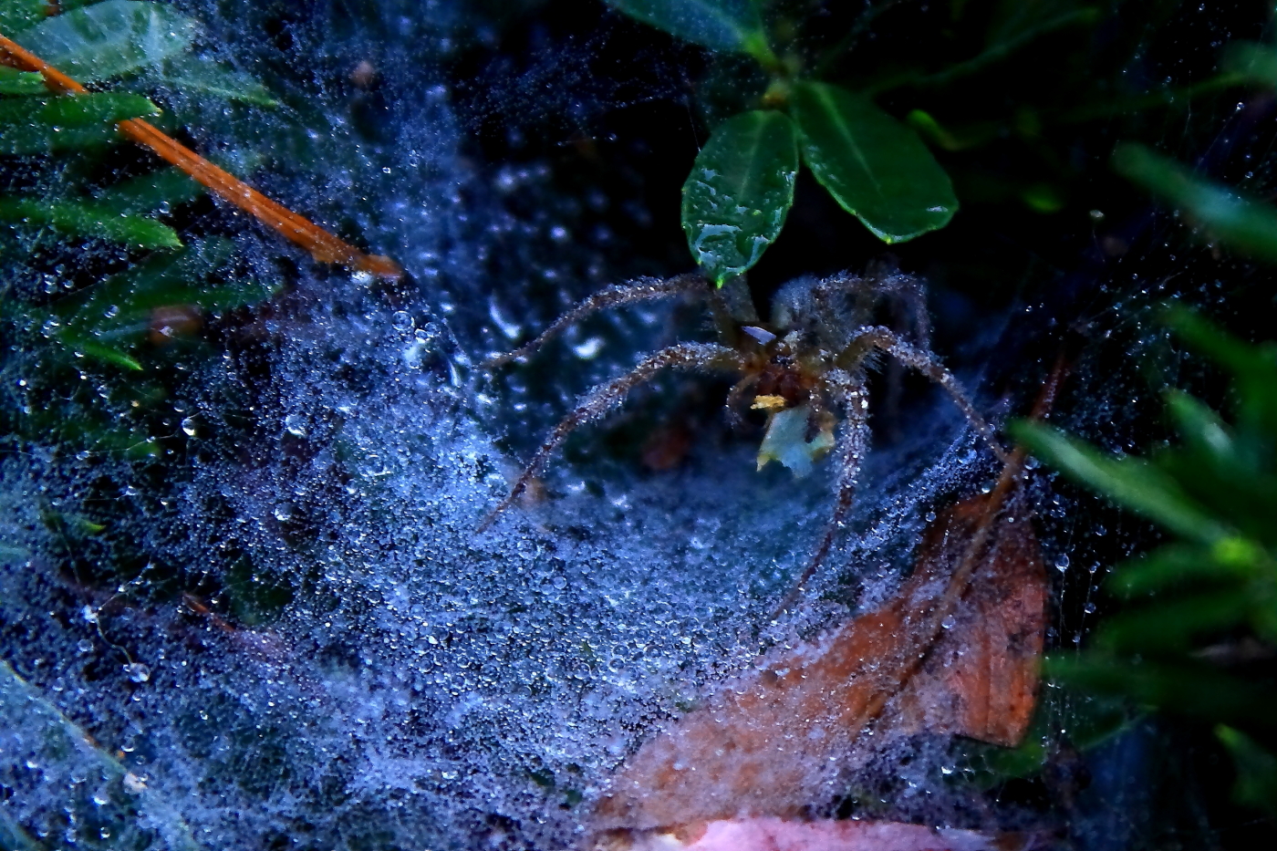 2010 09 29 IMG 10029e