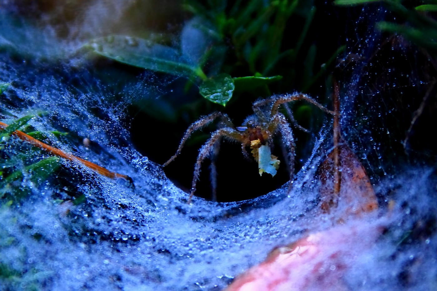 2010 09 29 IMG 10034e