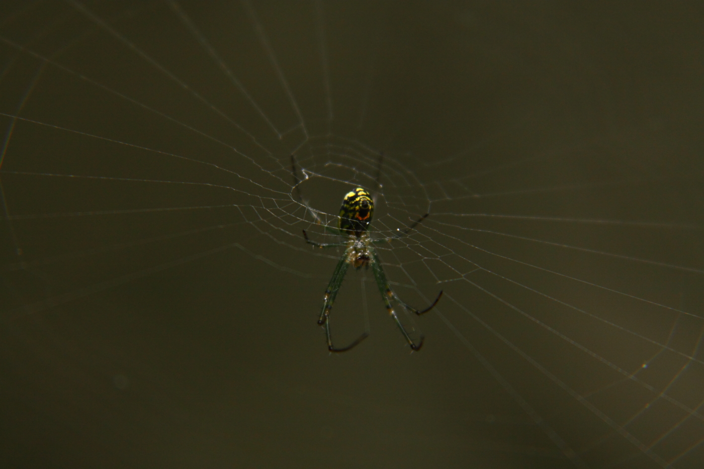 2011 06 13 IMG 33028