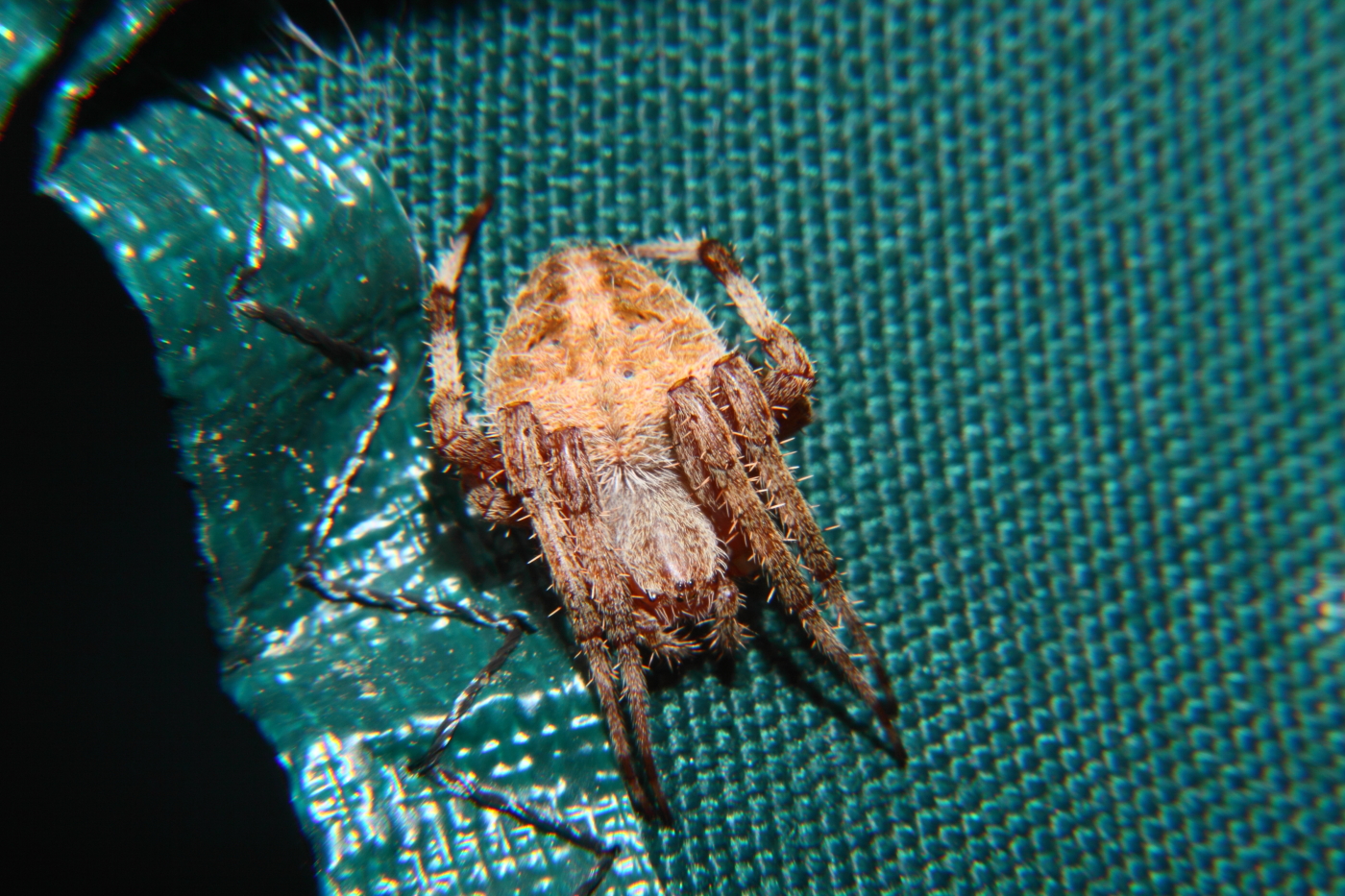 2011 08 26 IMG 36430