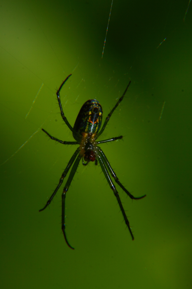 2012 06 14 6019