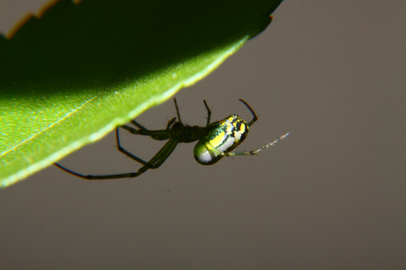 2012 06 14 6043