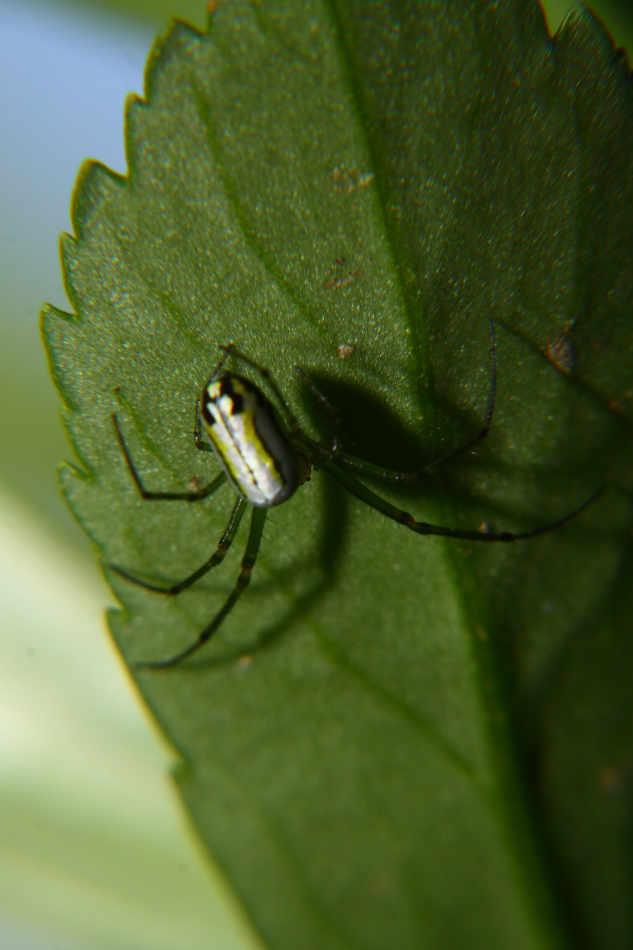2012 06 14 6045