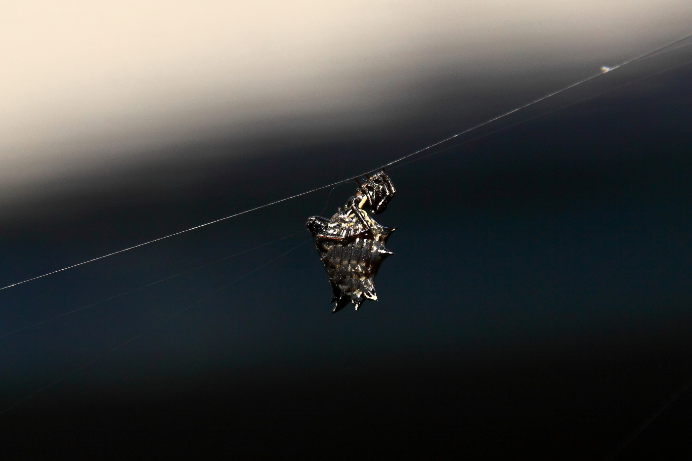 2012 07 24 9322e