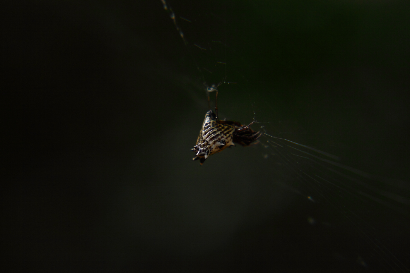 2012 08 14 9999 32