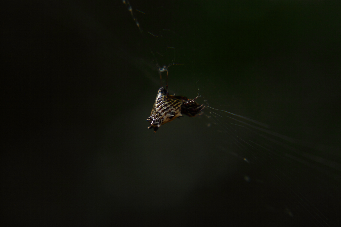 2012 08 14 9999 33